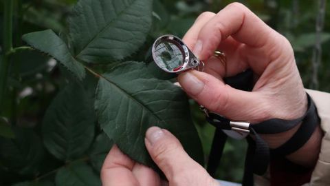 L’institut Astredhor conçoit et met en œuvre des programmes de recherche et d’innovation pour améliorer les performances techniques, économiques et environnementales des entreprises. L’unification vise en particulier à optimiser le transfert des résultats. ©O.Maillard